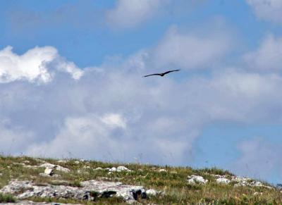 Прикрепленное изображение: IMGP6568.jpg